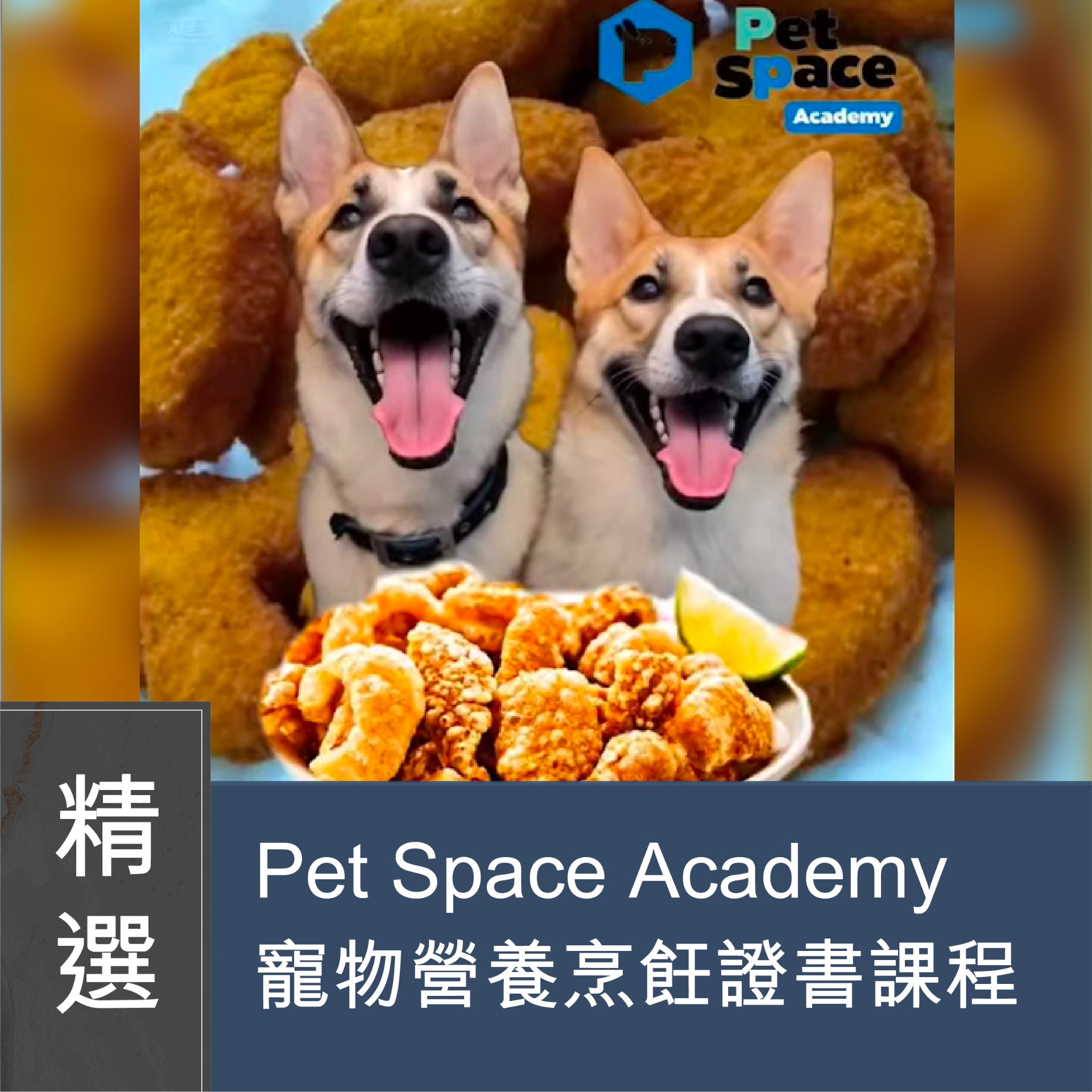 (實習班)  - Pet Space Academy 寵物營養烹飪證書課程